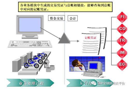 sap erp系统fico模块基础知识详解